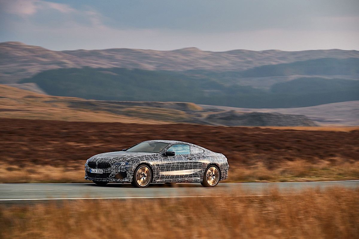 BMW 8 Series Coupe (22)