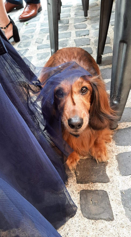 [Image: B0-FEFBBA-5512-47-AF-B6-B8-F13-C2832-F77-D.jpg]