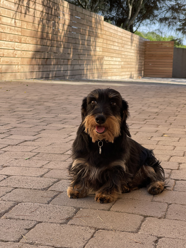 [Image: IMG-0236-1.jpg]