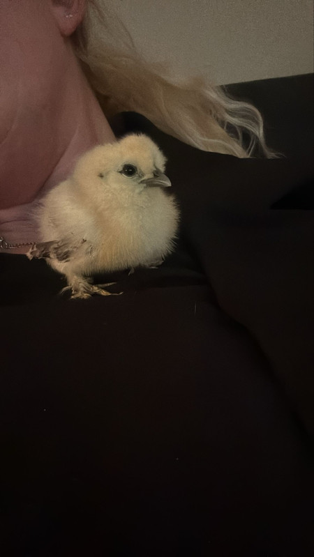 5e5fa6f3 7fc5 48a6 a26c 12ffcc97af60