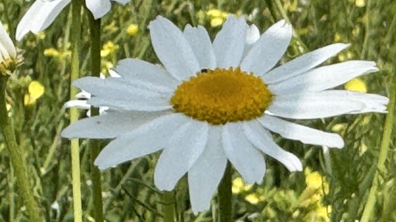 [Obrazek: IMG-9269.jpg]