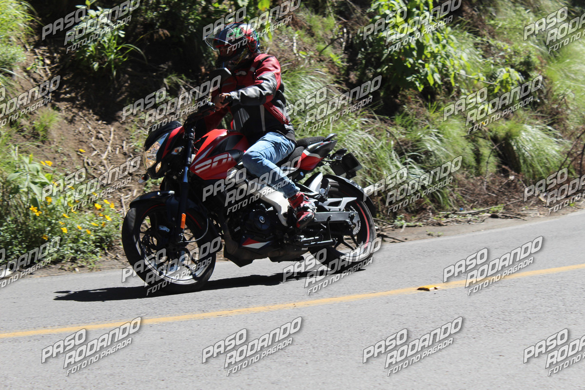 IMG 4156 wm 2424733 1000000006 watermarked — Postimages