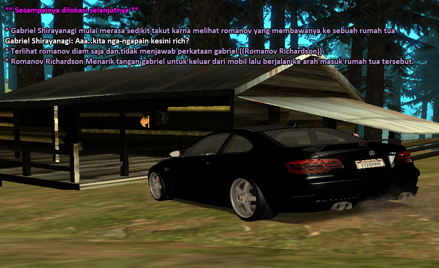 SS5.png