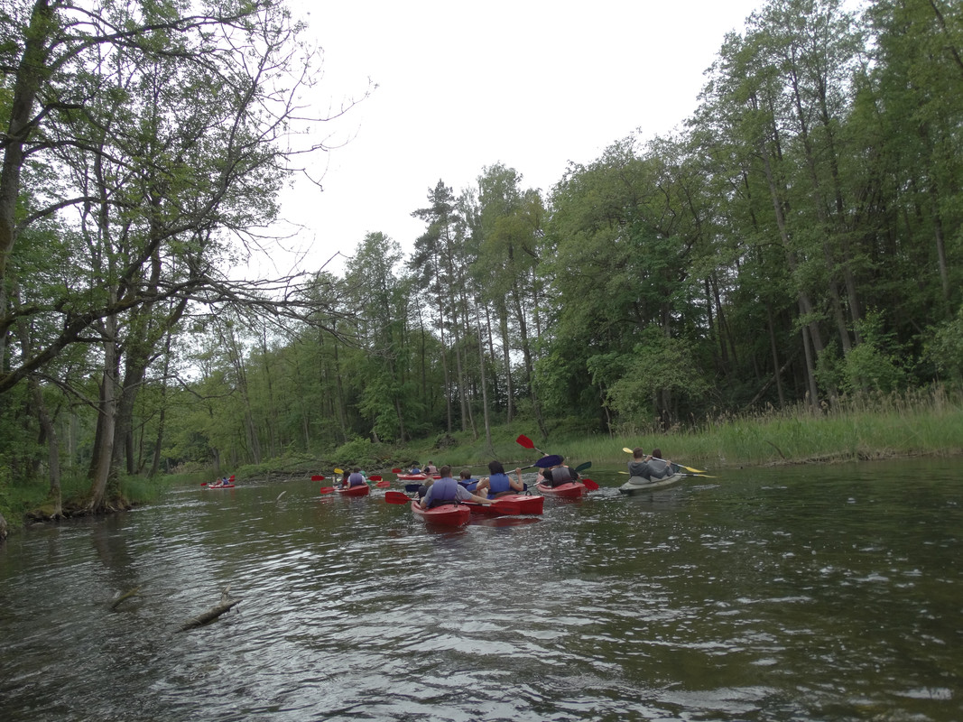 20 - DSC03936 (Czesio1)