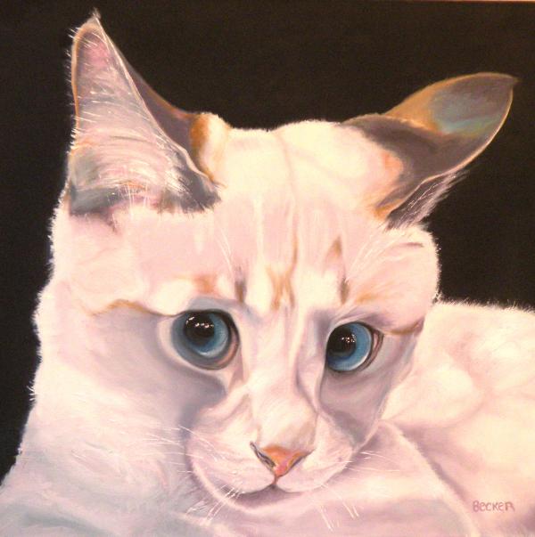 15-siamese-rescue-gem-of-a-kitten-susan-a-becker-004