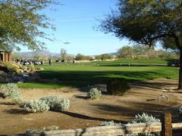 Desert home driveway junk removal