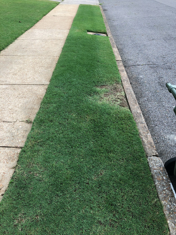 July 4th Landing strip