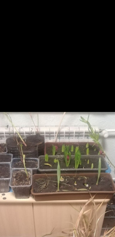 Screenshot_20221202-074746_Gallery