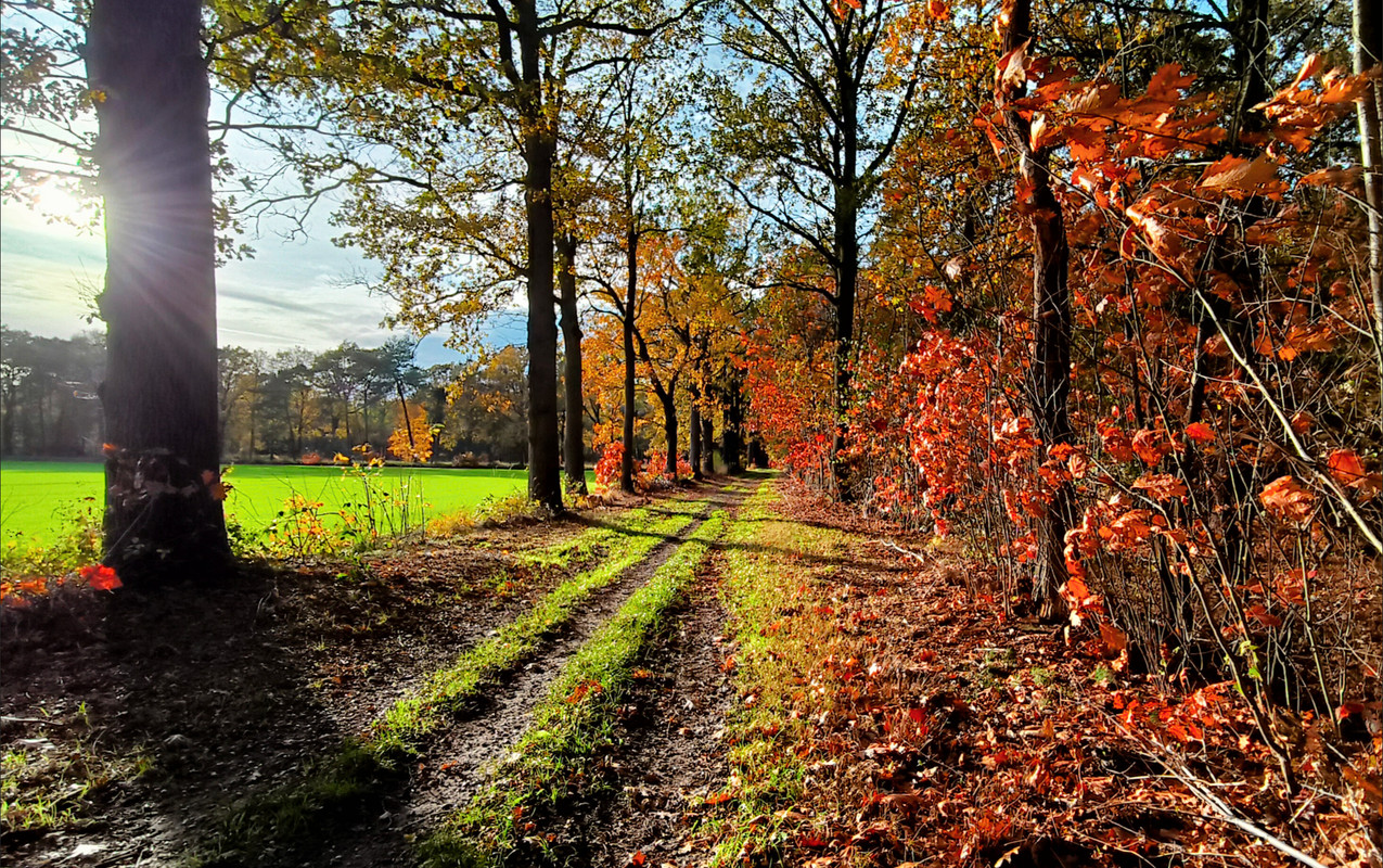 Lumii 20251104 151203191