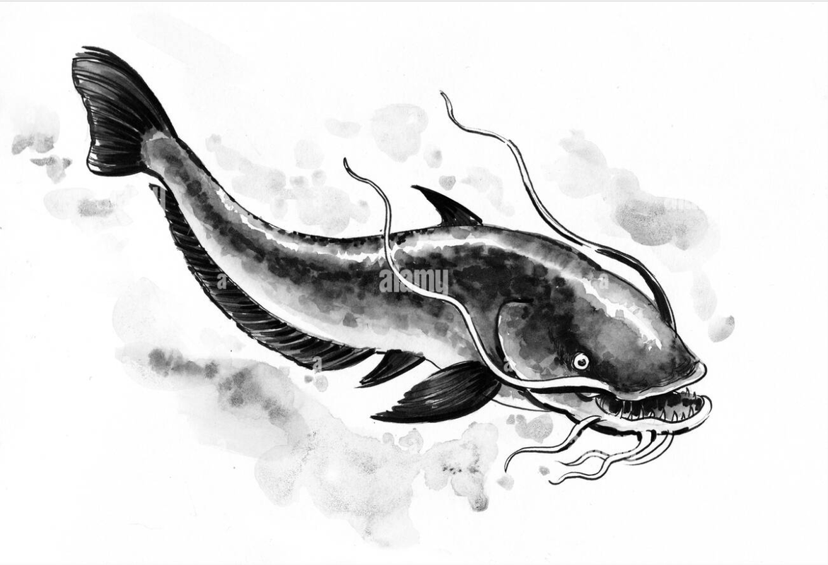 image-2024-10-28-230459105.png