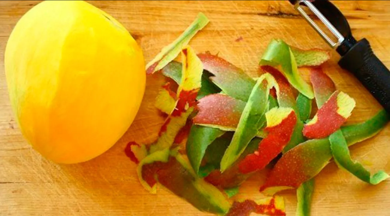 ¿Cómo hacer abono con cáscara de mango?