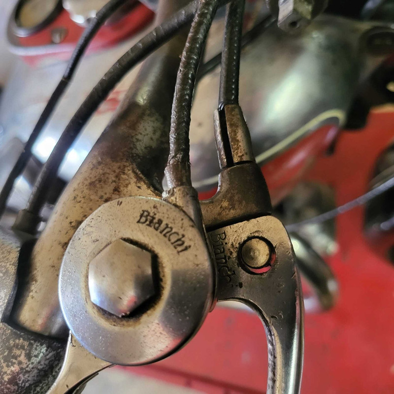 181bca96-1cd4-47ce-aaf4-3d136ff8175e