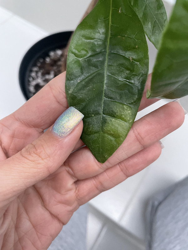 103B77A4-DB63-45F9-A973-CE6C6D25B69E