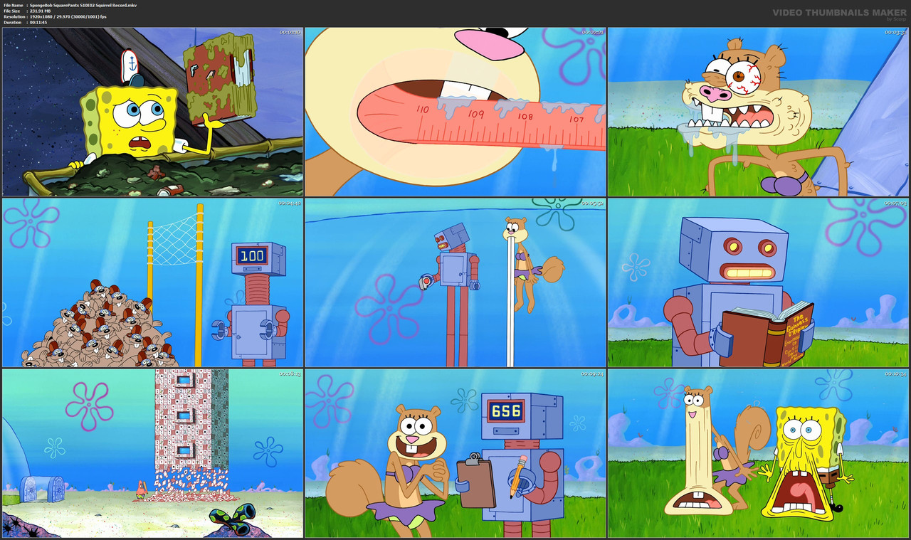 SpongeBob SquarePants S10E02 Squirrel Record.mkv