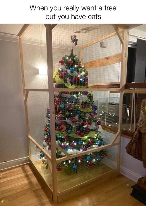 treecats.jpg