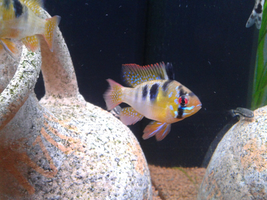 altAvao_gCSH8wP0VudB37EcpjV3DIa78y-7fgxX_fGjvha