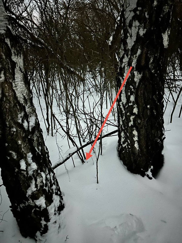 utsdvnjds 20251224 090528