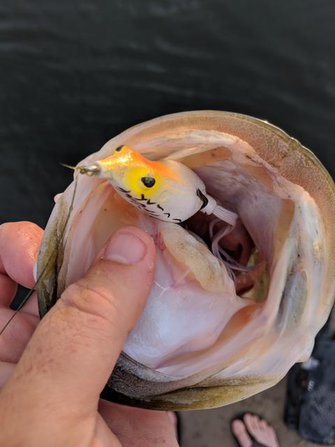 https://i.postimg.cc/R0RxC0rD/MVIMG-20190604-201509.jpg