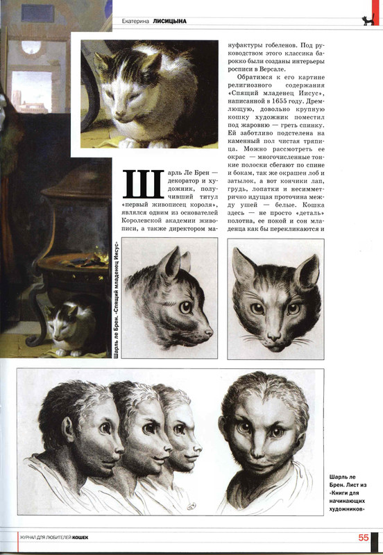 Друг кошек 2008-06-53