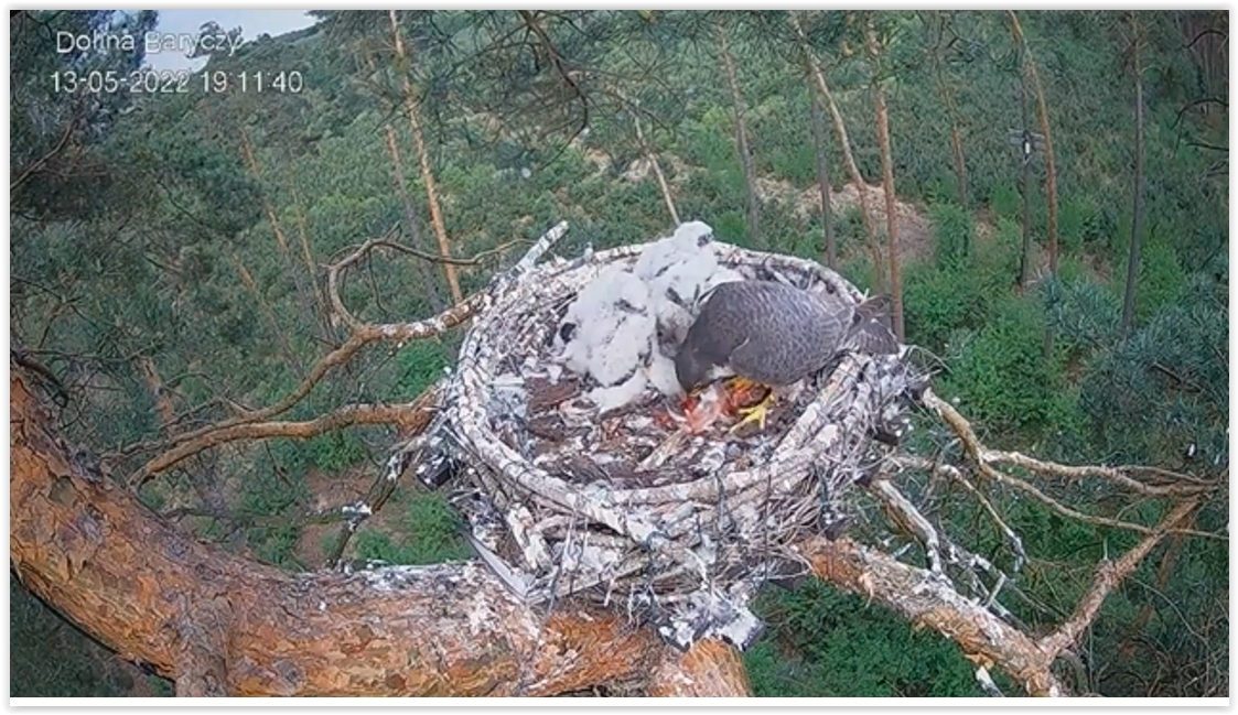 Screen Shot 05-14-22 at 10.03 AM 001