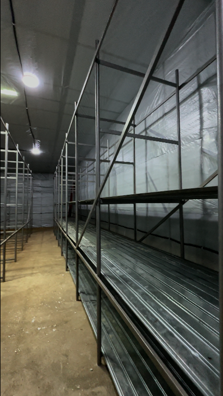 2024-01-21 18_52_17-Media Player