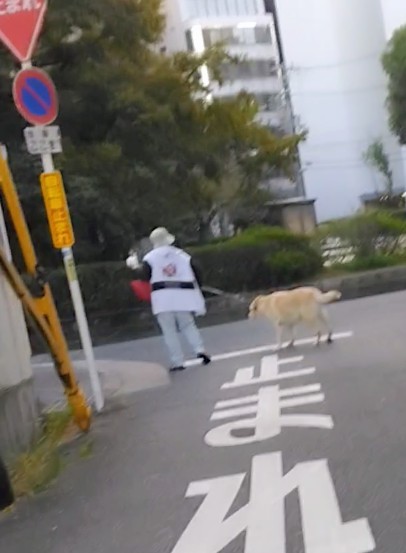 yRzuߌvoϑ΍Ɂ@u440~~10v̎̂czzRXgȂǉۑ 5  [ꁚ]YouTube>2{ ->摜>9 