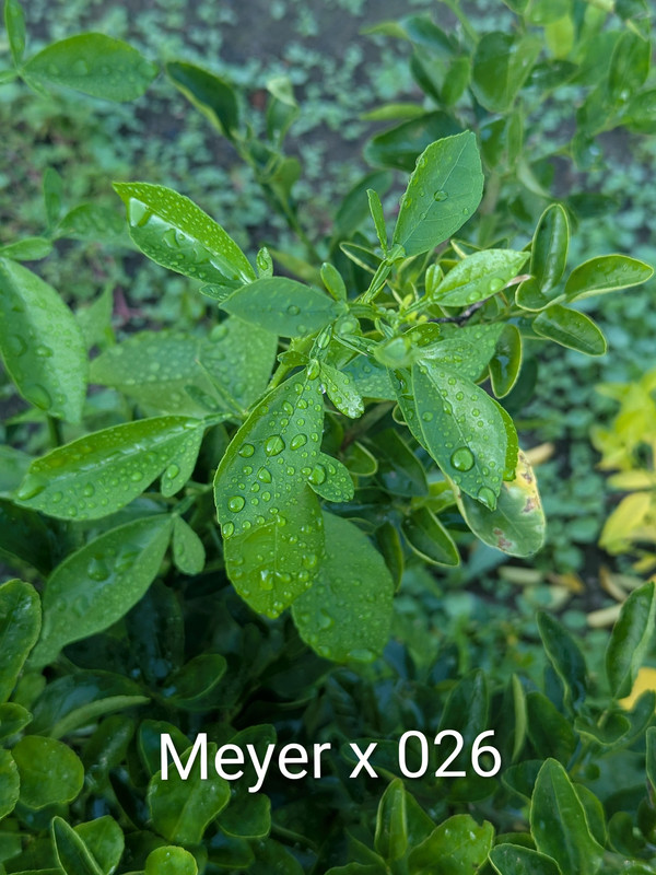 PXL_20250918_122055027~2