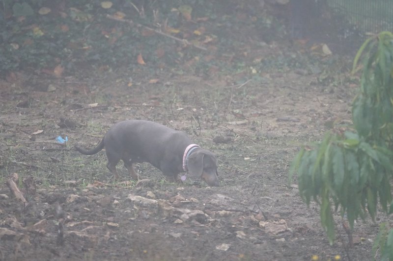 [Image: DSC01181.jpg]