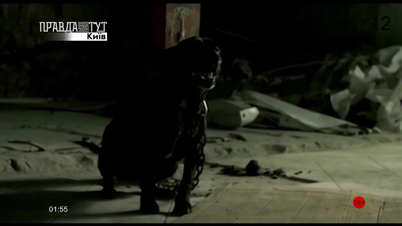 1_0_1_C_A_2C_0_0_0_0_20230129005713