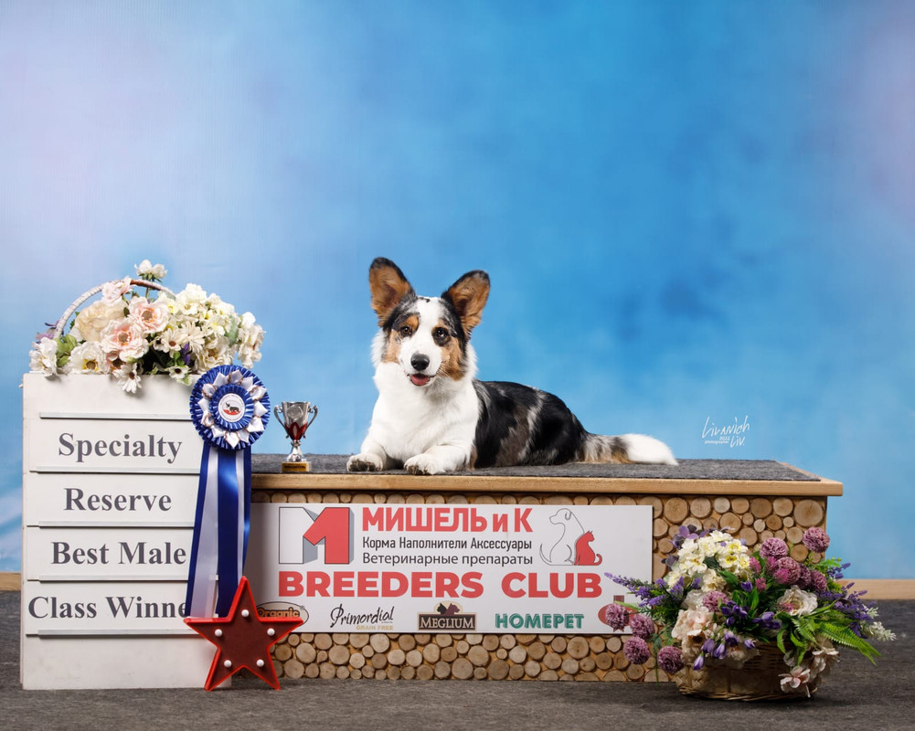 84CCA020-3CB3-48B0-A0D4-402FE5EDED54