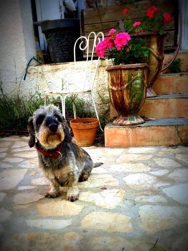 [Image: IMG-0892.jpg]