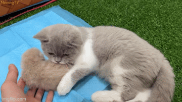 ���� ���� ������ �� ���� ������