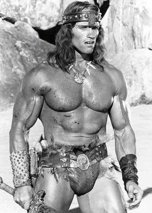 https://i.postimg.cc/R0VGTGXY/1-arnold-schwarzenegger-in-conan-the-destroyer-1984-album.jpg