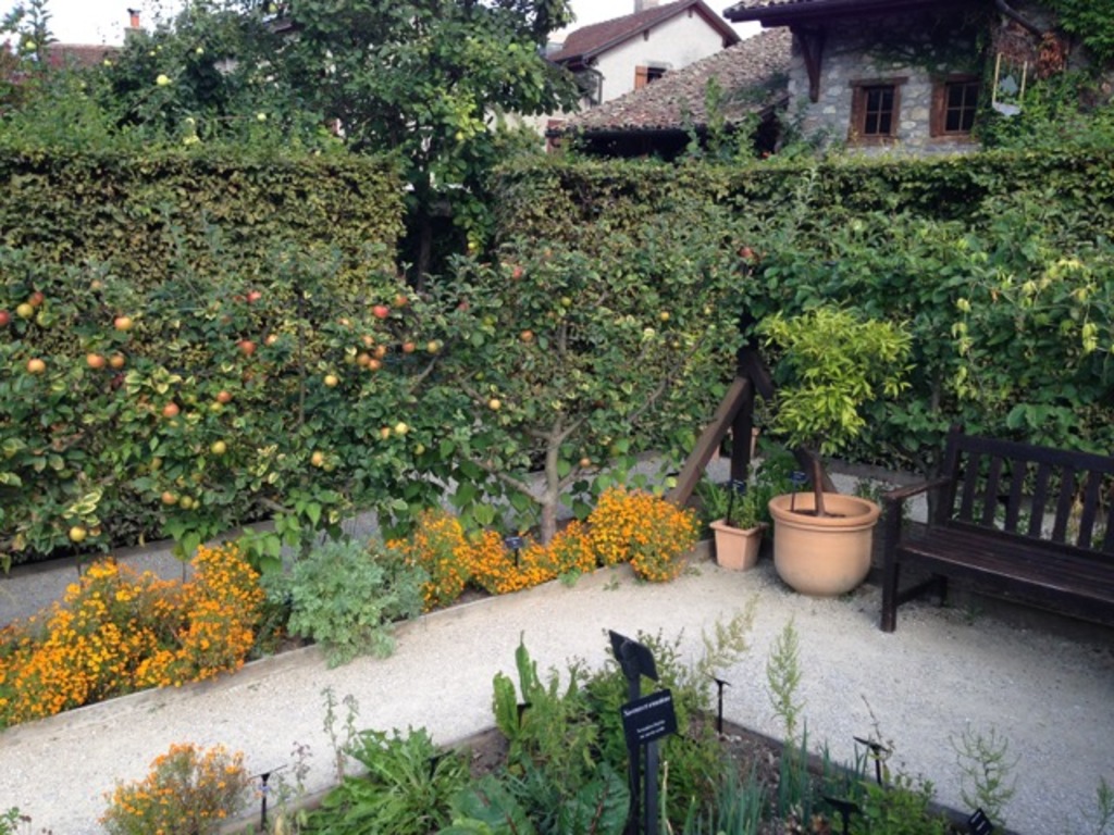 plantitas - 1 (1)