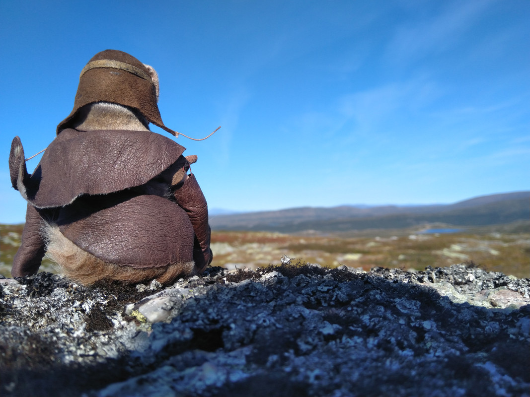 Wild Boy in Ireland 3 E02