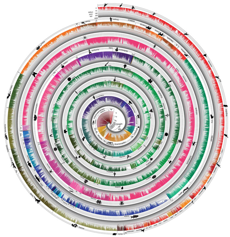 96D62835-B382-4D2B-B6CF-571BBF9B781F