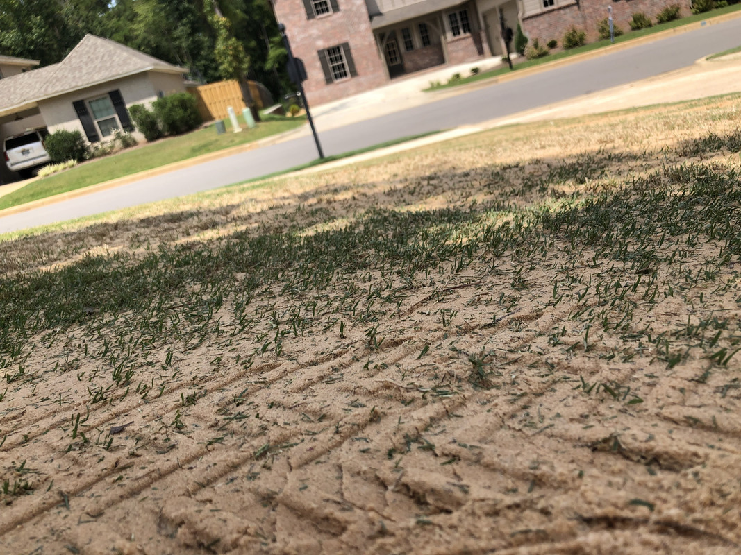 FFDA3405-203C-44FC-9707-77B83677F3DE