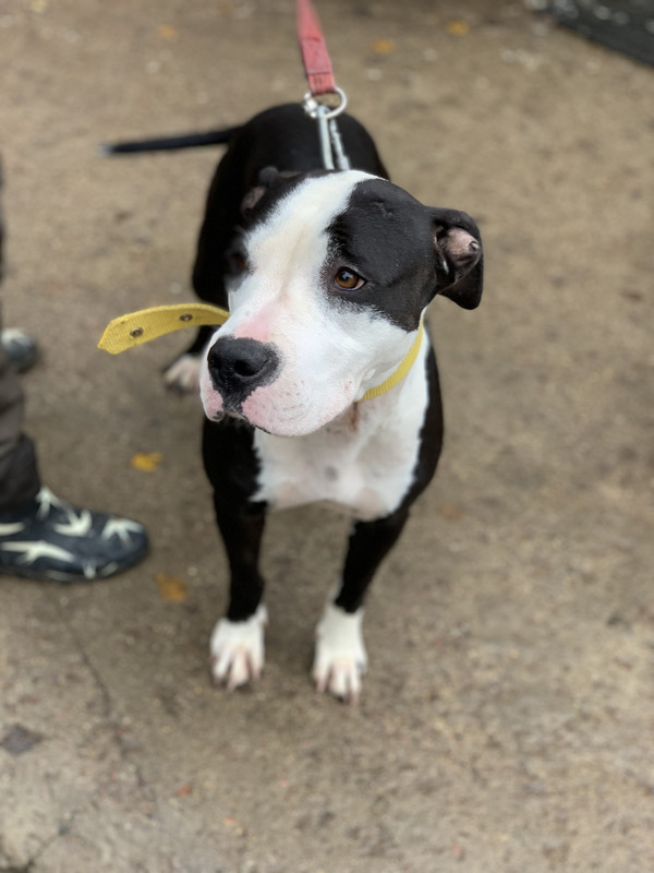 A44564BB-F3B4-4294-A5CB-126F261E8B6D