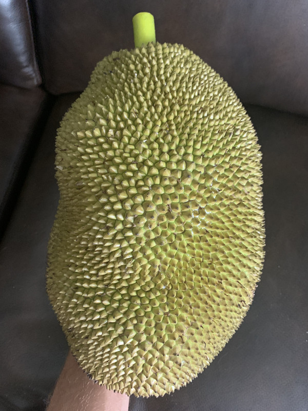 77A4BF2A-F325-4AF0-A636-259ABBC8975A