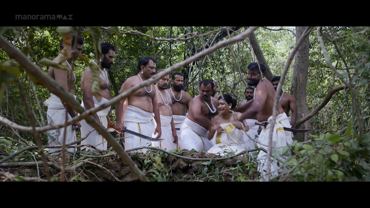 vlcsnap 2026 02 06 17h22m19s401