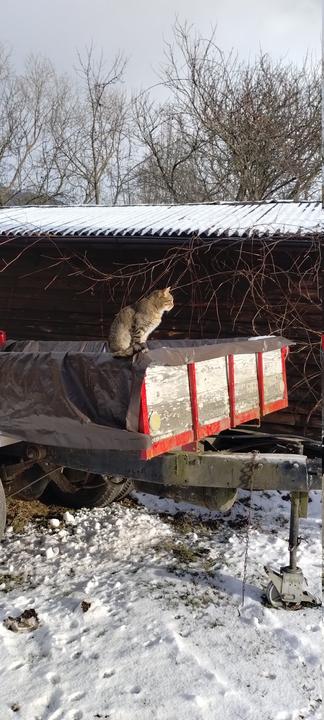 IMG 4f76f8ef084ebf6b47e814984f874954 V