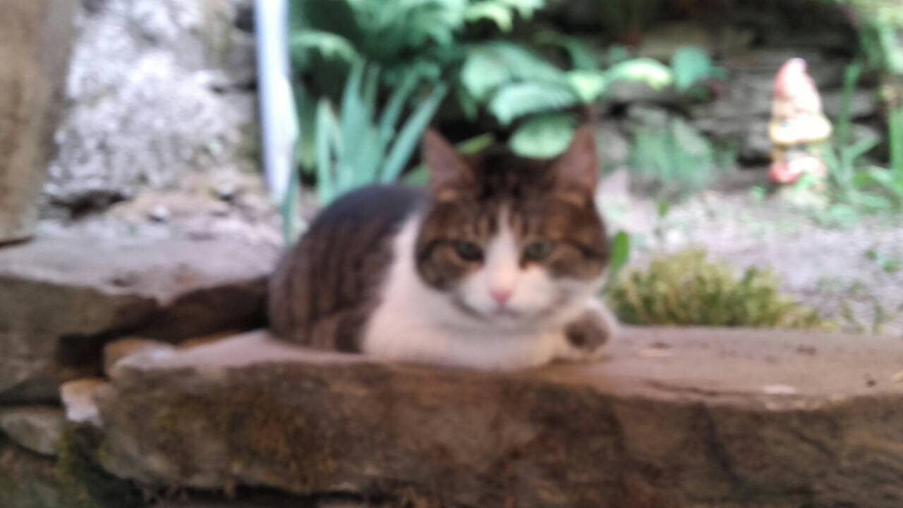 801C031C-AB93-4BF9-A736-5DB65318320E