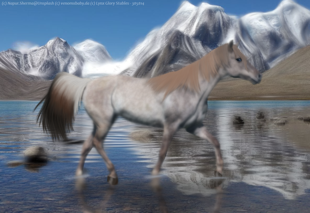 Mountain-Grullo-Manip.png