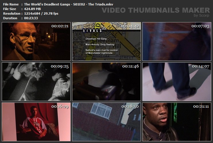The World s Deadliest Gangs S01E02 The Triads mkv