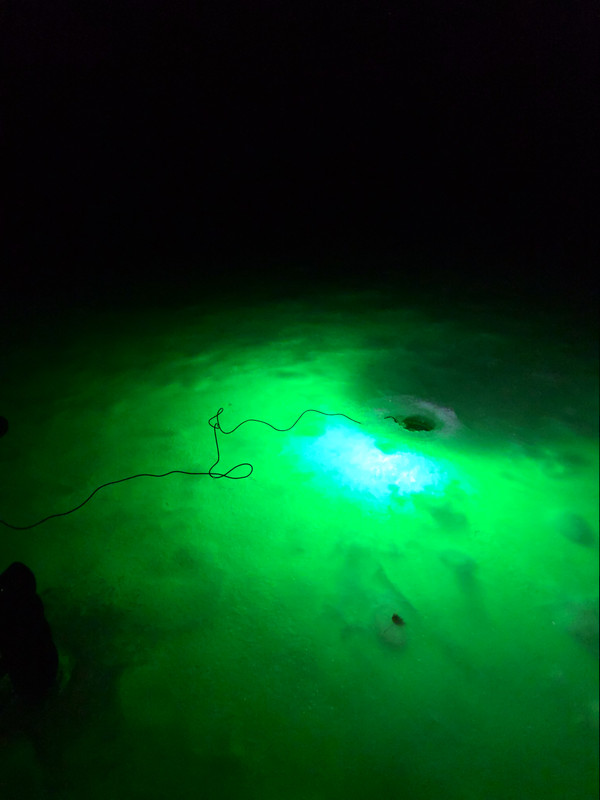 50684db6 89cb 40c4 b027 5d7ca5f28e63