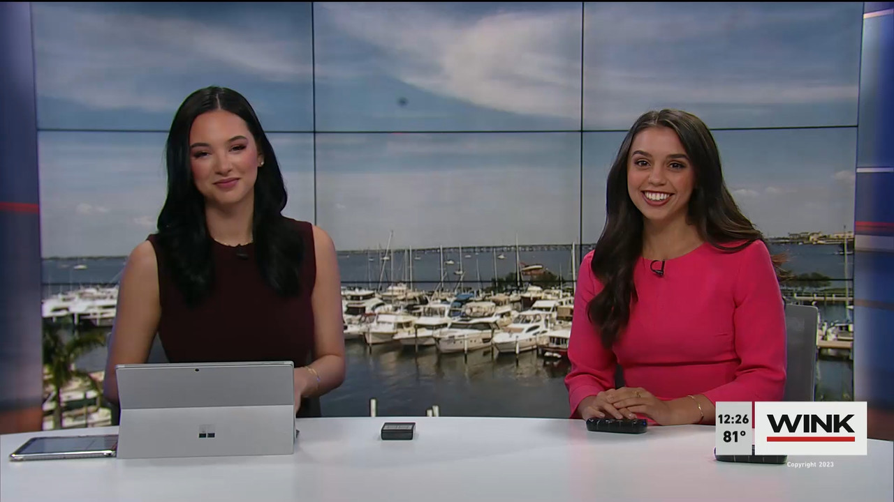 03.10 - 17.00.00 - The WINK Noon News  ᴺᵉʷ. Midday news update..ts_snapshot_33.19.500