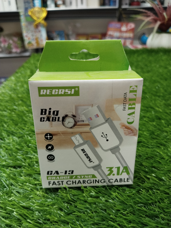 Recrsi Big Cable CA-13 3.1A