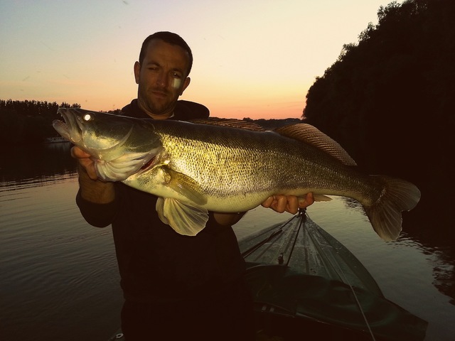 Smud 8.05kg 88cm druga uređena