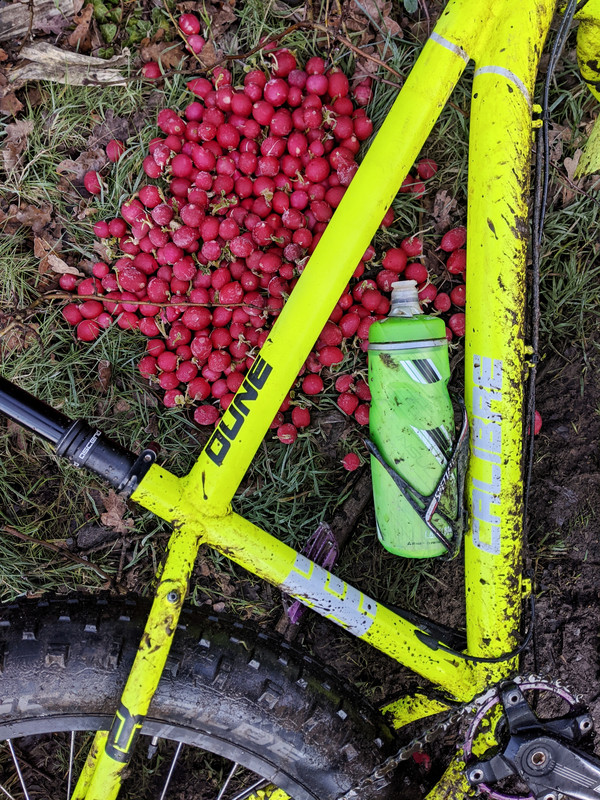 It's funny what knobheads leave in laybys