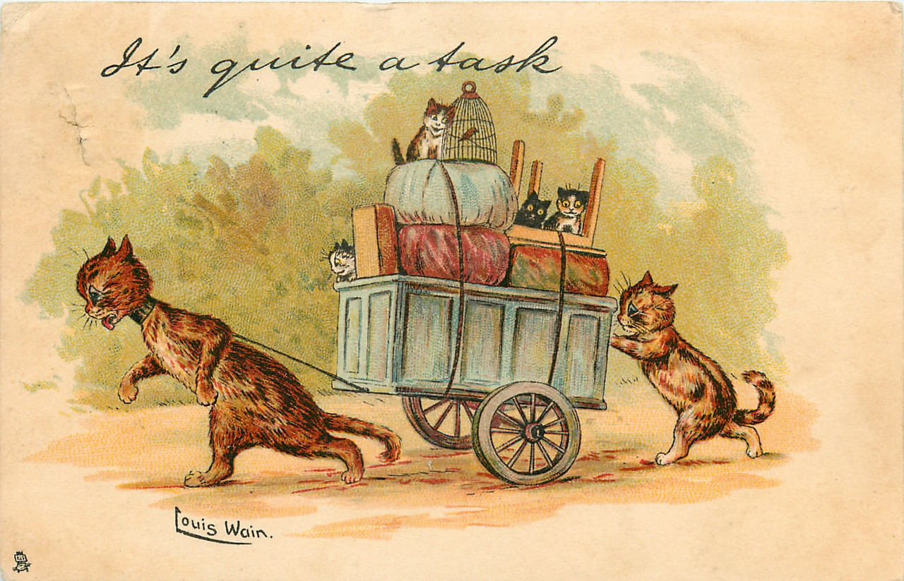 24-2011-06-25-09-51-57